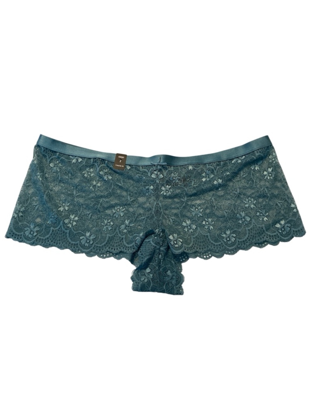 torrid Teal Lace Cheeky Boyshort sexy panties underwear size 2 (2X)